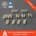 New Fashion Wholesale Alumina Ceramic Plunger